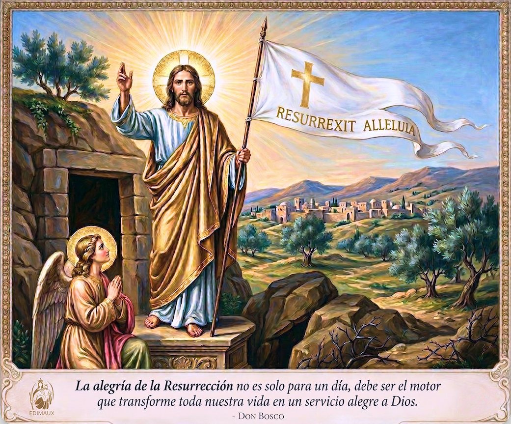 En este tiempo de gracia, deseamos que la luz de Cristo Resucitado ilumine sus hogares y sus proyectos. Que la esperanza de la Pascua nos inspire a seguir difundiendo, a través de la palabra escrita, la alegría de nuestra fe.
El Equipo de EDIMAUX