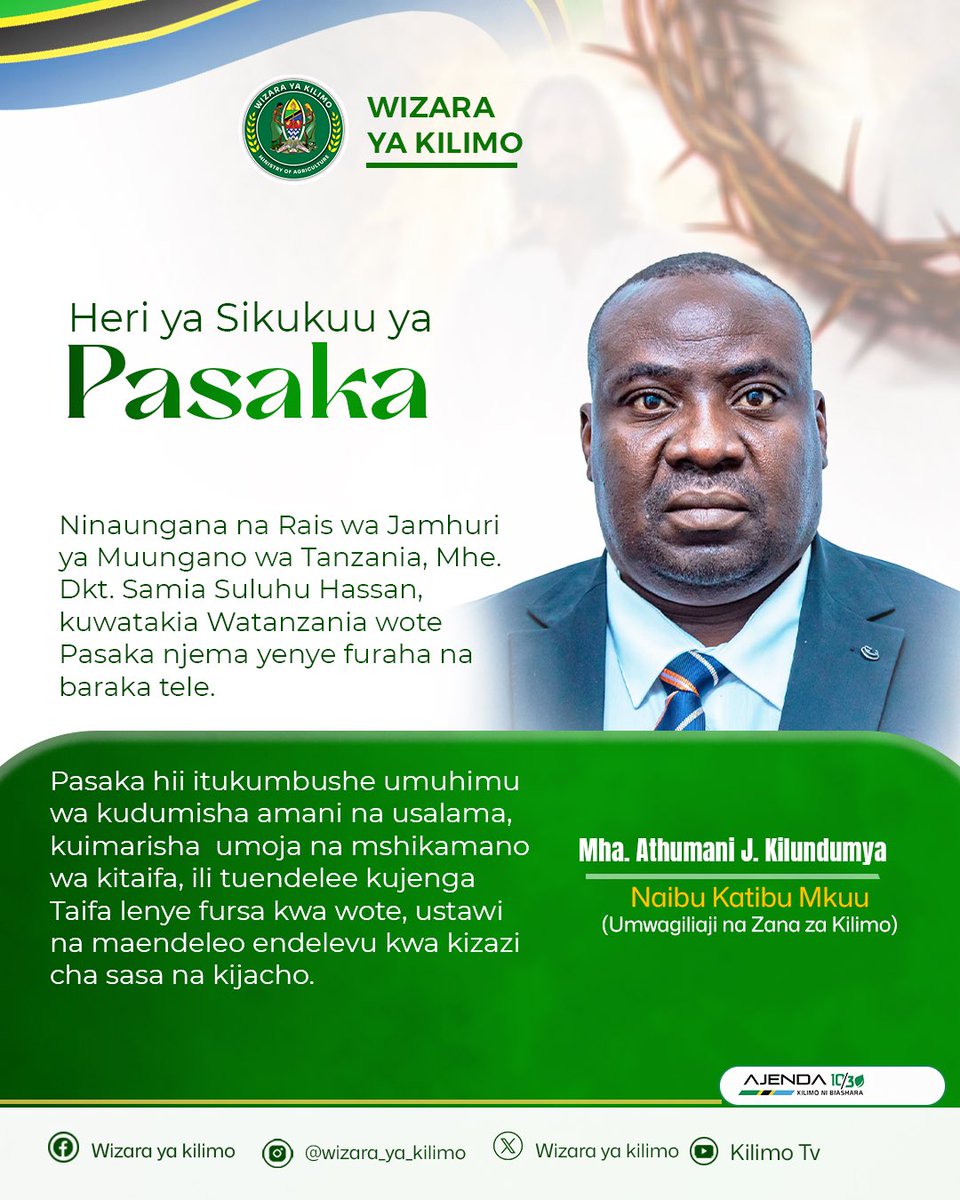 Tagie Daisy tweet media