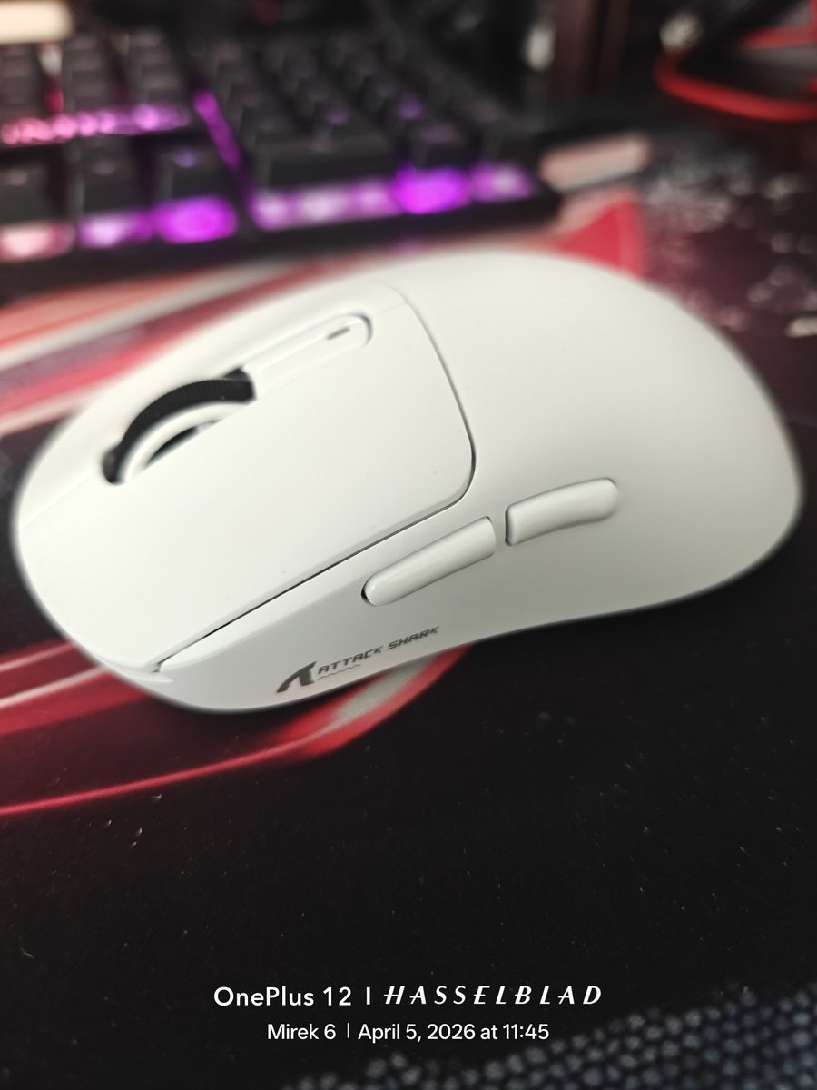 Mirecki 🇵🇱🇨🇦 tweet media