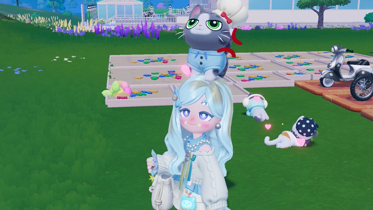 ぱにゃ tweet media