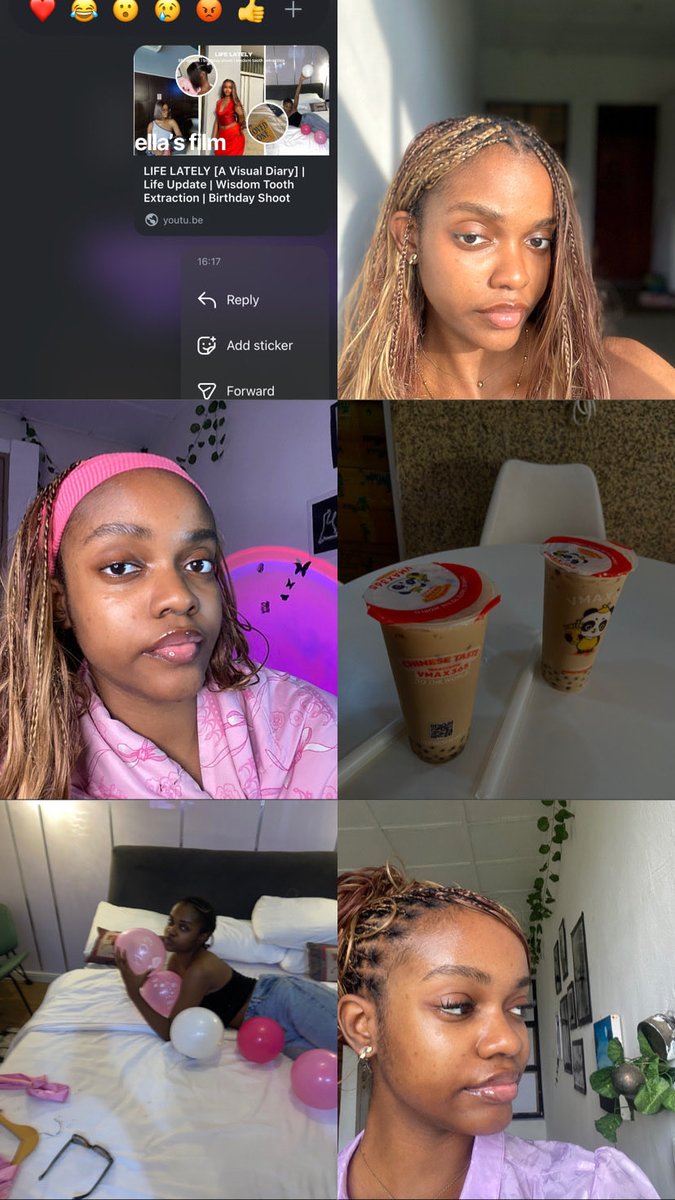 cool cat tweet media