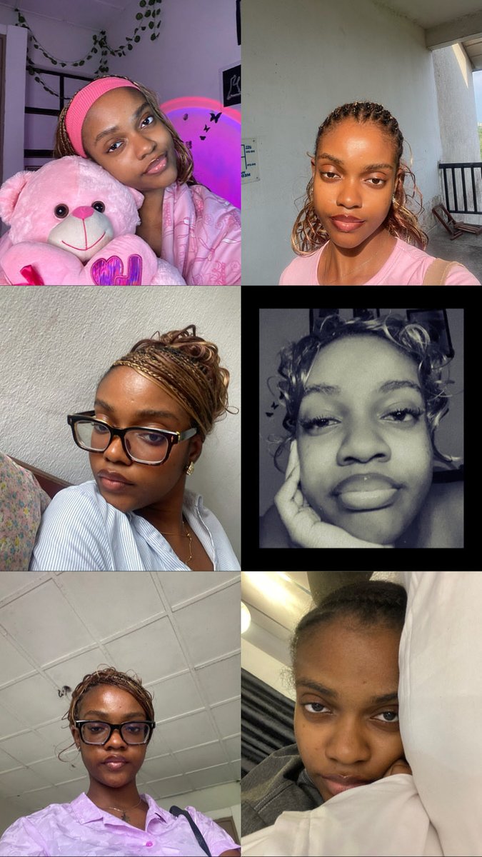 cool cat tweet media