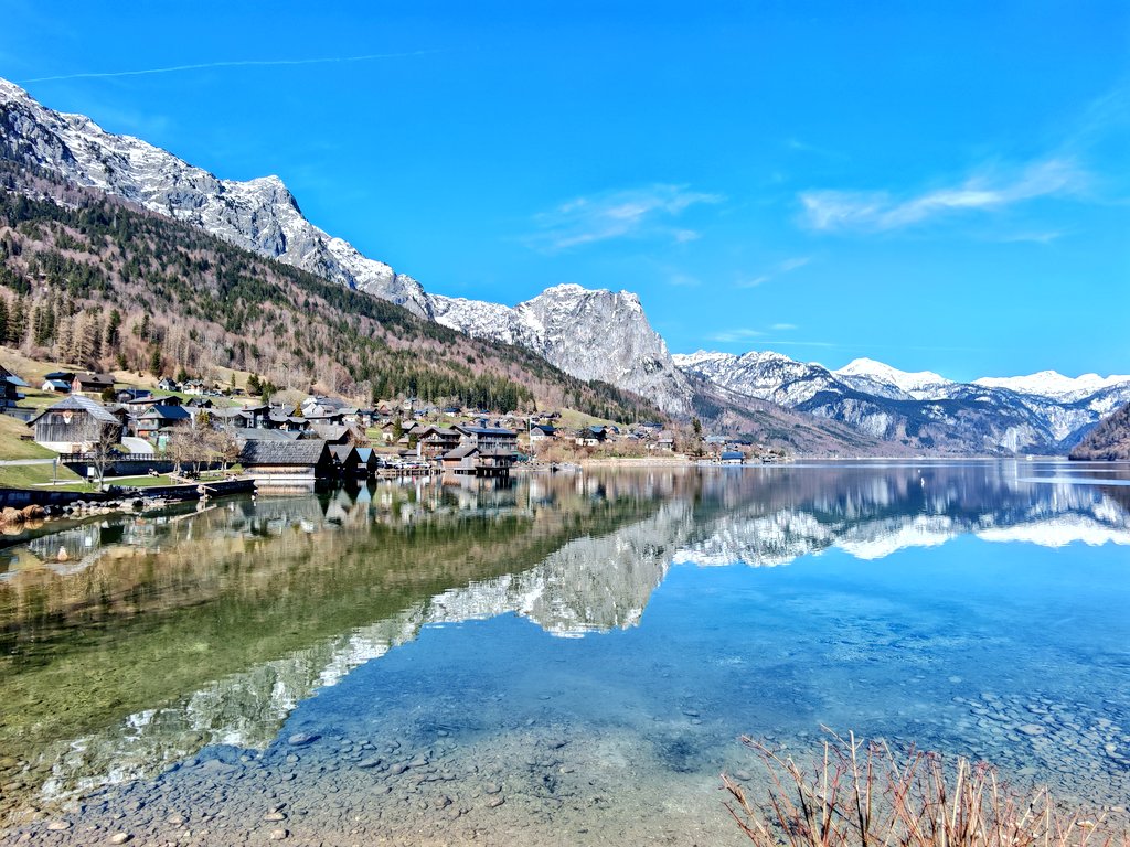 Tom Middler tweet media