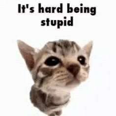 bubbzhotline's tweet photo. can we stfu about debating every card games resource system and how whichever one you play is the best one and the rest suck. We do this shit like once a year and it brings out some of the most insufferable people I’ve ever met. https://t.co/rvXRc3PRas