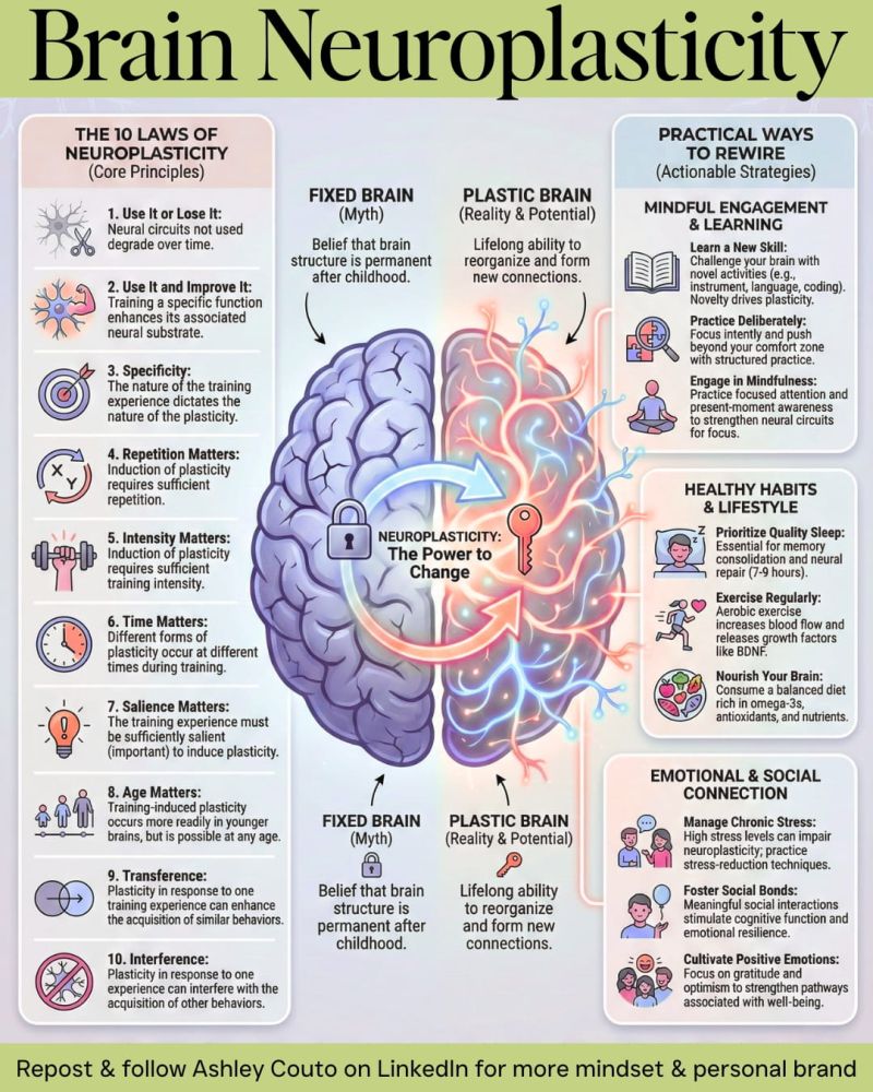 Curious Minds tweet media