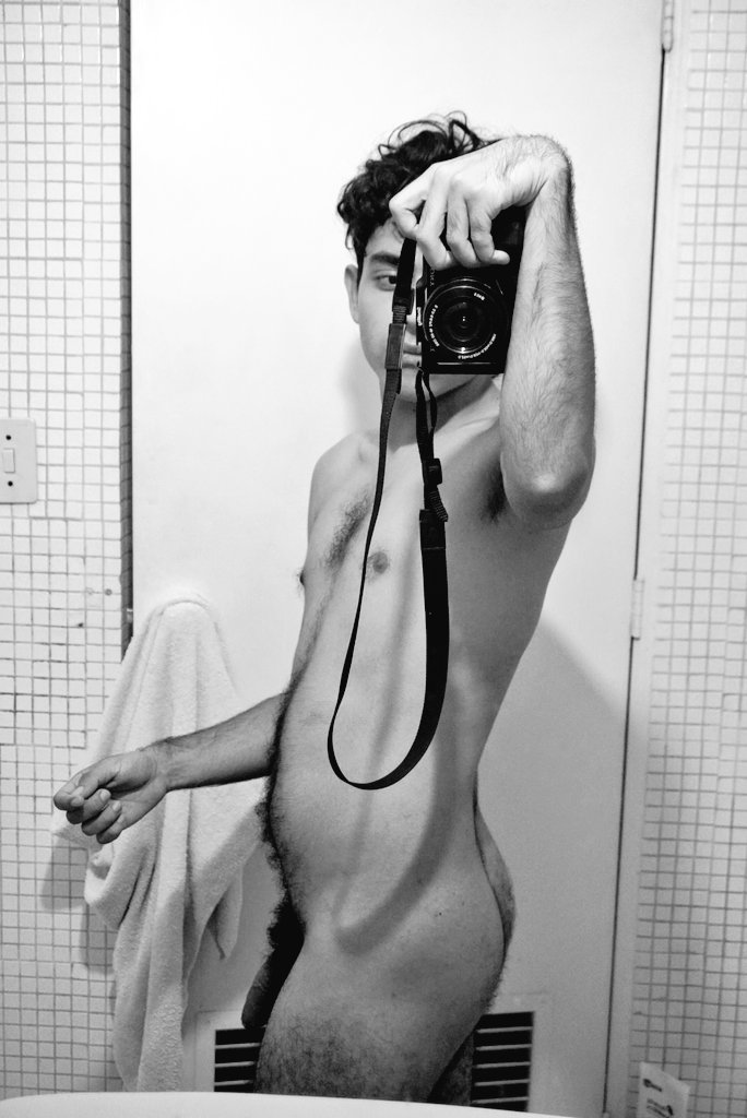 🦌🌸 par tweet media