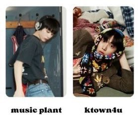 ᓚᘏᗢ tweet media