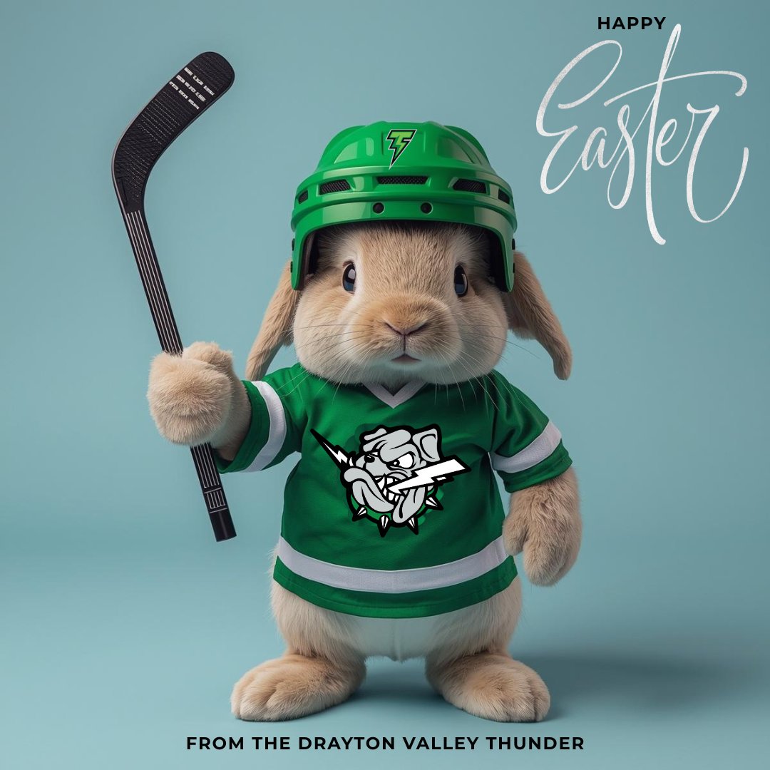 DVThunder's tweet image. The Thunder would like to wish everyone a safe and Happy Easter 🐰

#DVT | #AJHL