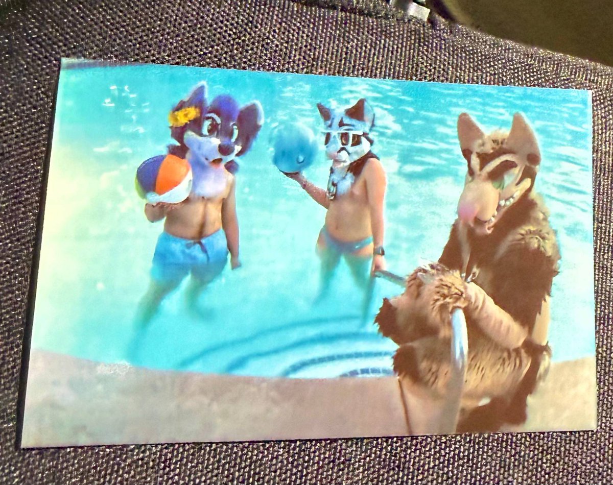 🏁Zane🔜FWA🏁 tweet media