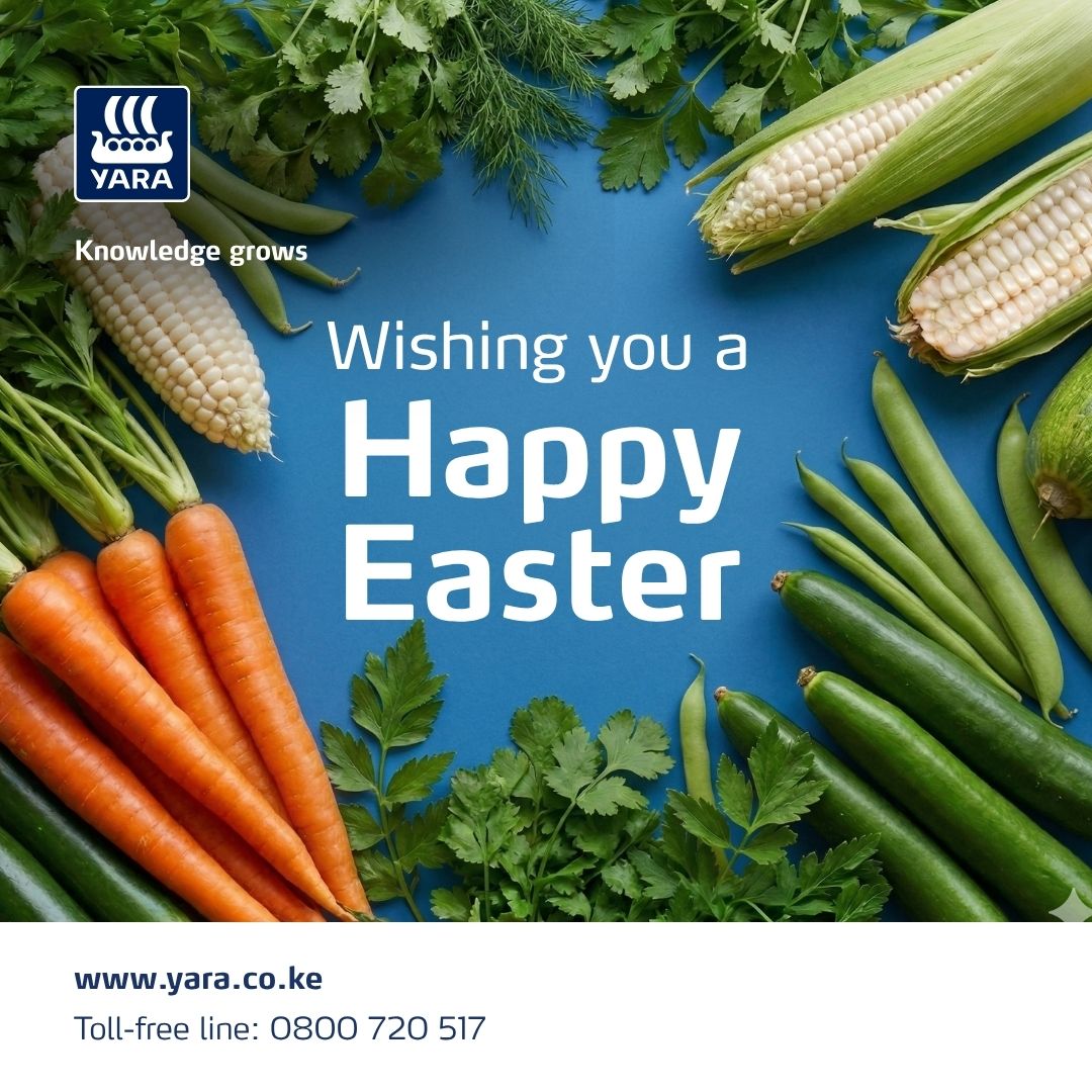 YaraKenya's tweet photo. From all of us at @YaraKenya, we wish you and your family a peaceful Easter and a season of growth ahead. Thank you for trusting us to walk the farming journey with you.
#MboleaNiYara #YaraKenya #KnowledgeGrows https://t.co/GtOKN8CUI0