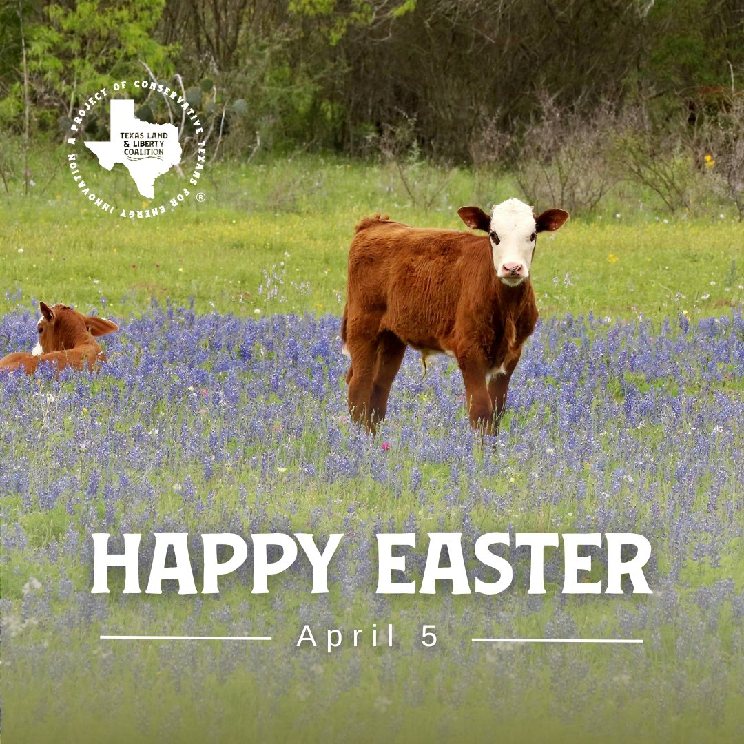 TXLLCoalition's tweet photo. Happy Easter from the Texas Land &amp; Liberty Coalition! https://t.co/9toa9NlDQO