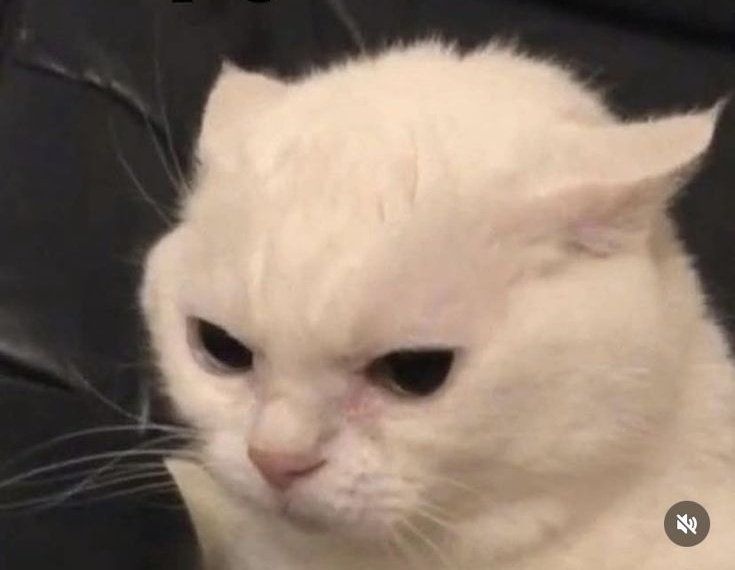 #LittleIdiot tweet media