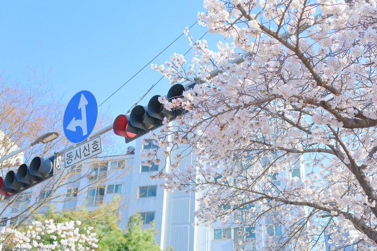 설심당 tweet media