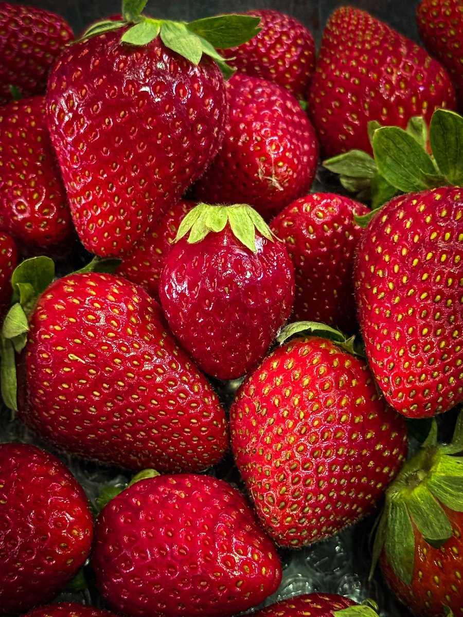 *loving boy* tweet media