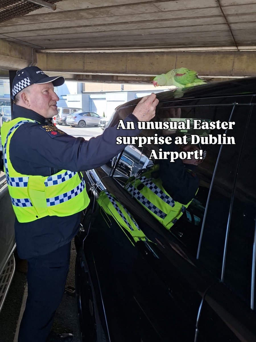 Dublin Airport tweet media
