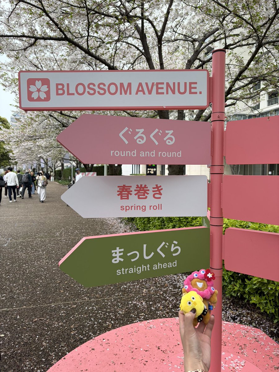 スン氏 tweet media