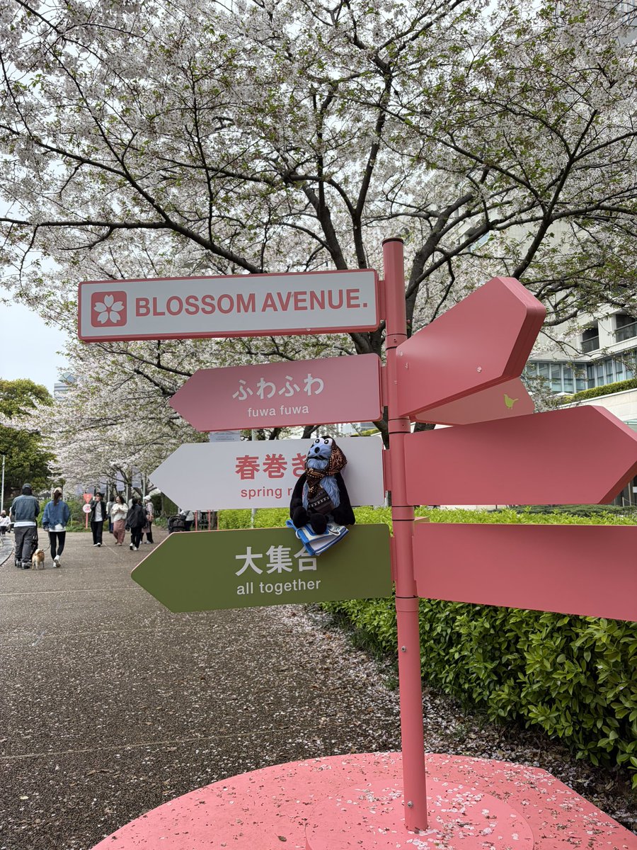 スン氏 tweet media