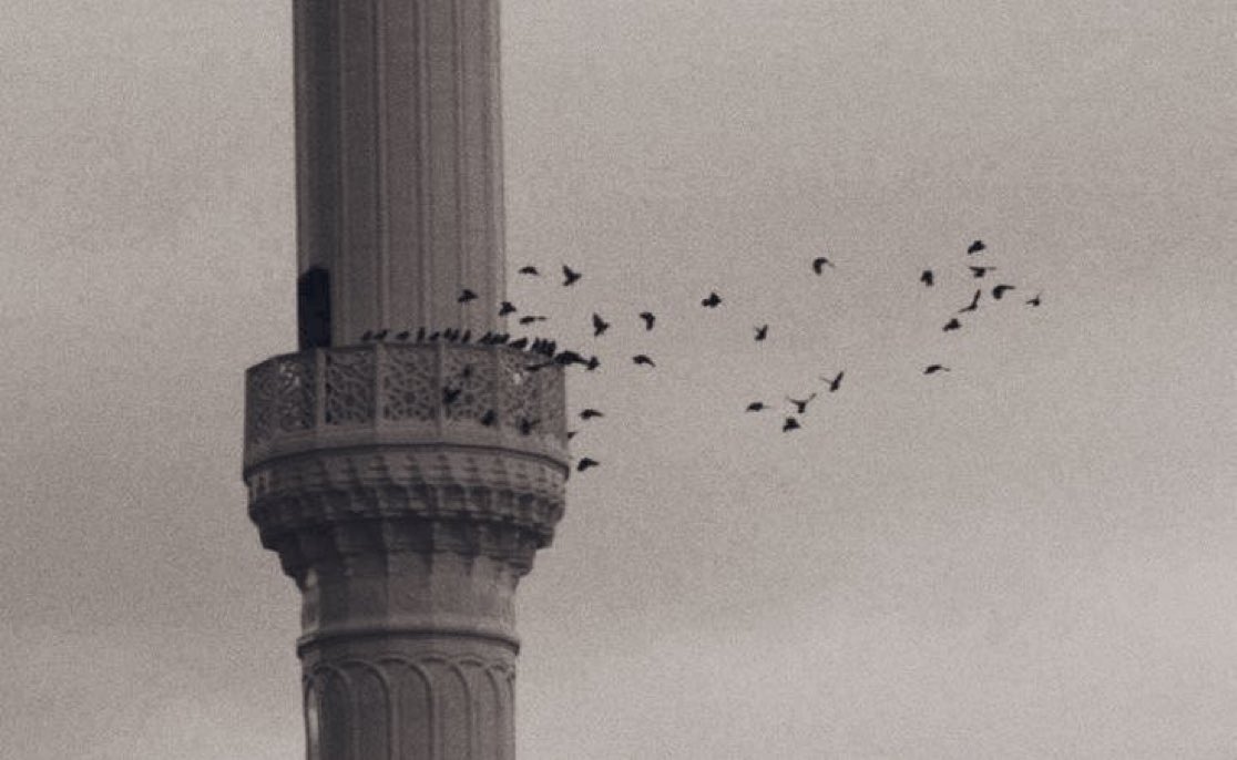 “And the next life is certainly far better for you than this one.”

Al-Quran~ 93:4