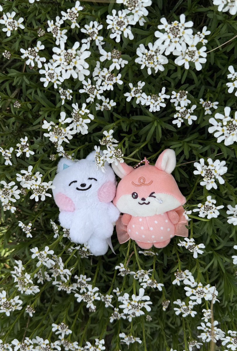 เมเน่💚NongDream tweet media