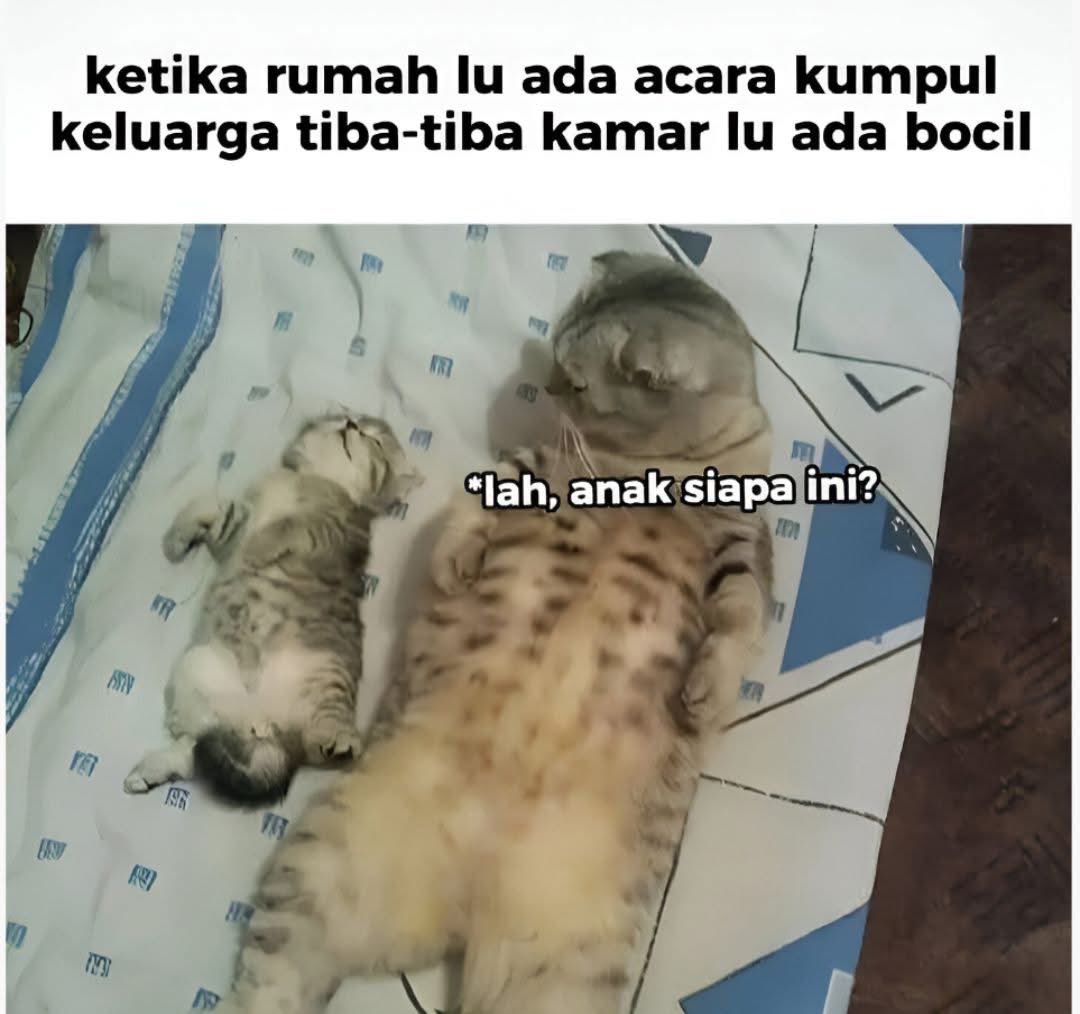 sosmed keras tweet media