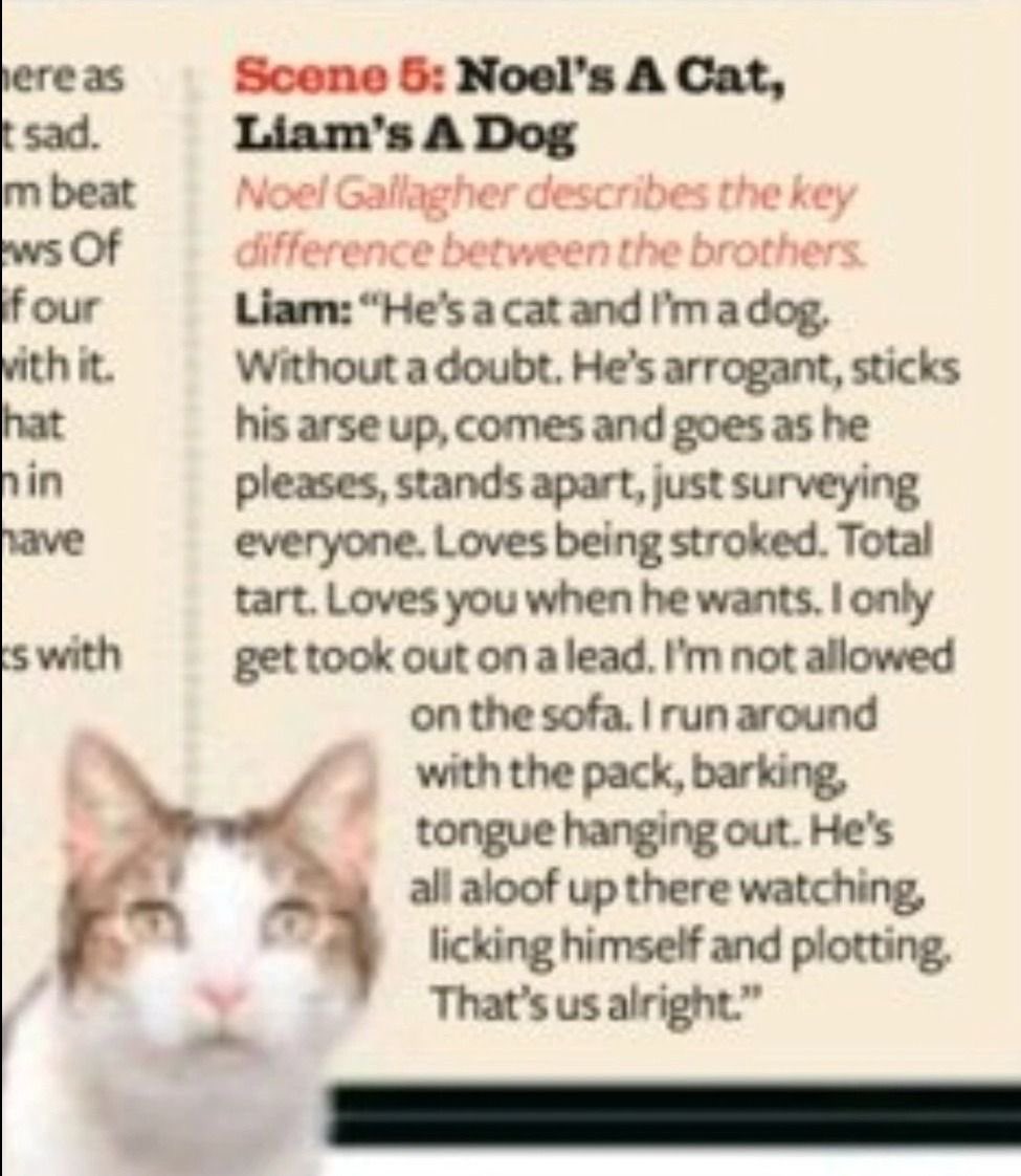 lena 𐙚⋆°。 tweet media