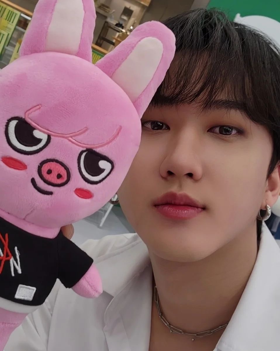 DeannaDarby's tweet photo. Happy Bunny Day from me and twinn 🐰🐷
#straykids #skz #chanbin #dwaekki https://t.co/l0FGGj3PU7