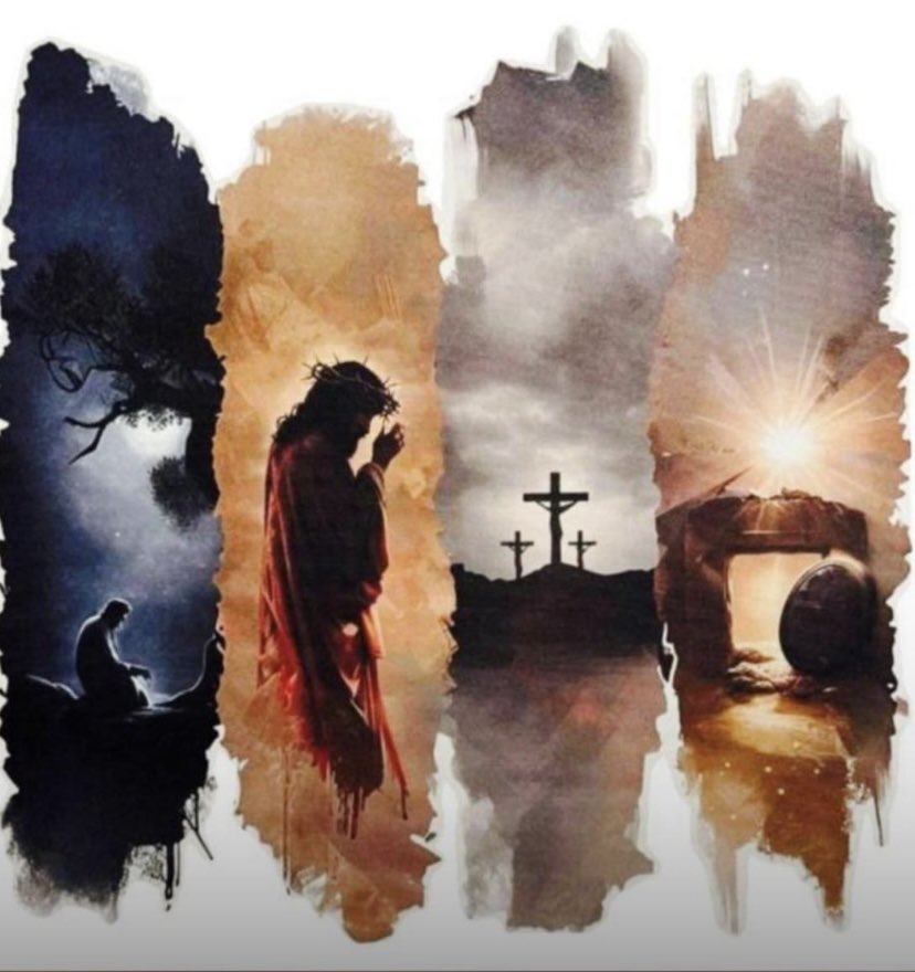 SonydeFalcao!! 👼🏼🩵🩺🎾🏋🏼‍♀️🌻🐶 tweet media