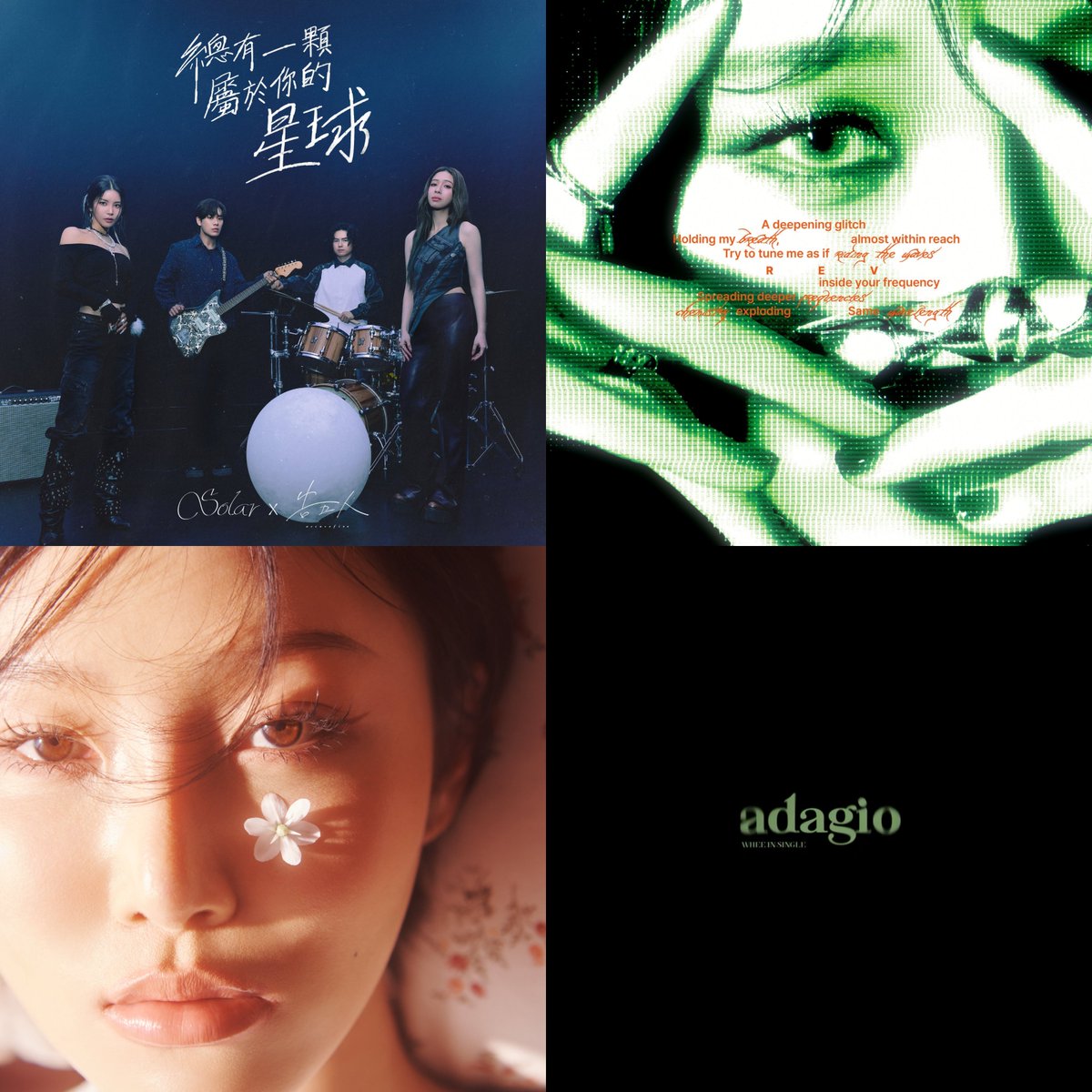 DragonKazoo77 tweet media