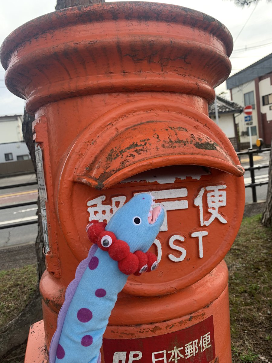 ミナミ tweet media