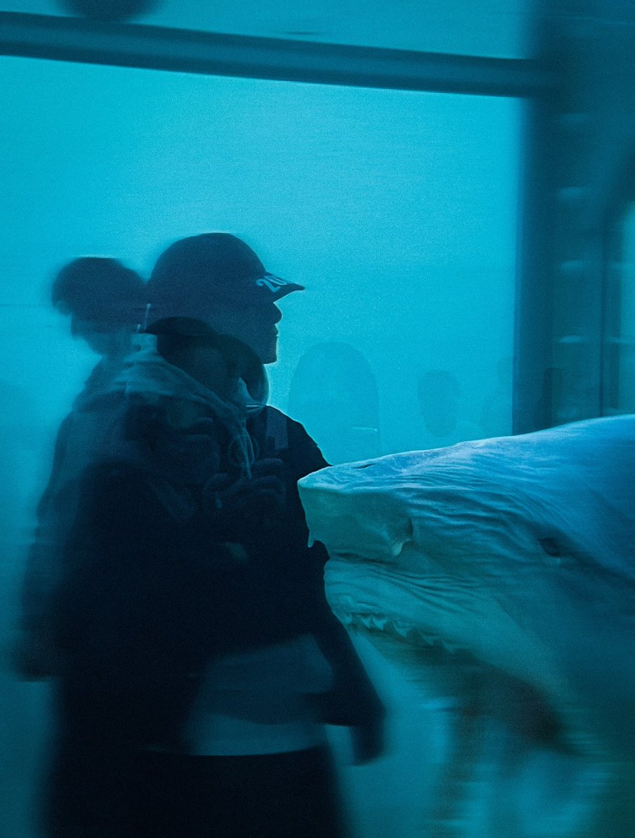 Mandy 🌙🌹🔥 tweet media