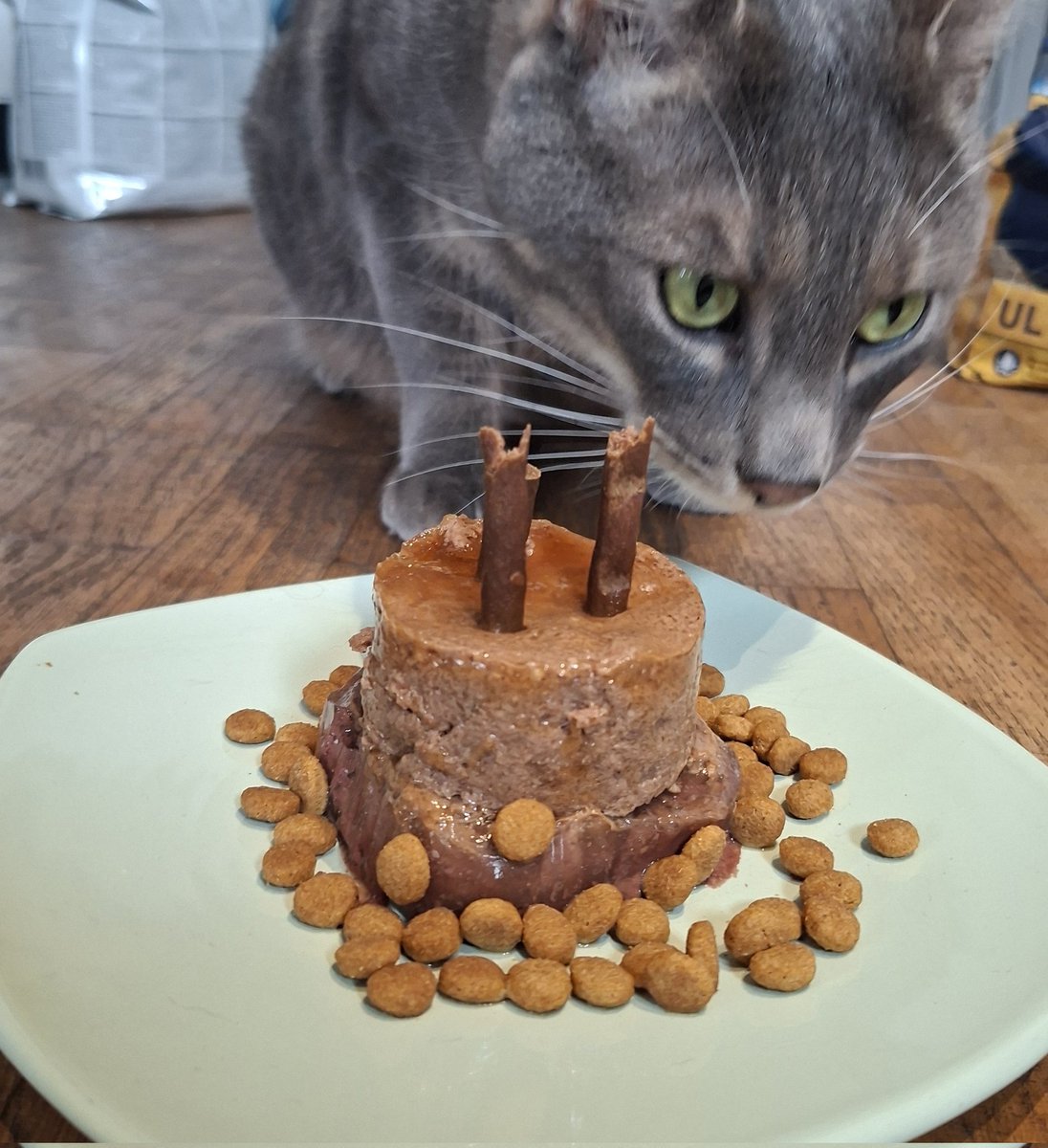 Pão 🐸 - regarde Steel Ball Run !!! 🏇🥎 tweet media