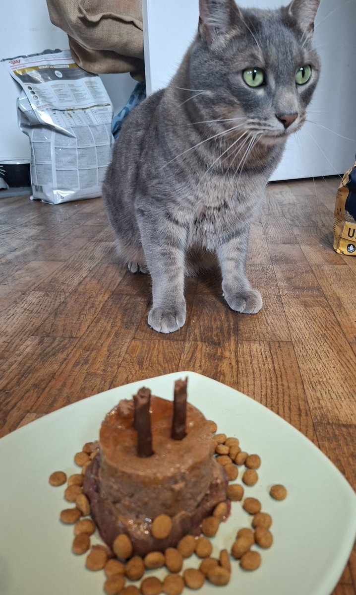 Pão 🐸 - regarde Steel Ball Run !!! 🏇🥎 tweet media