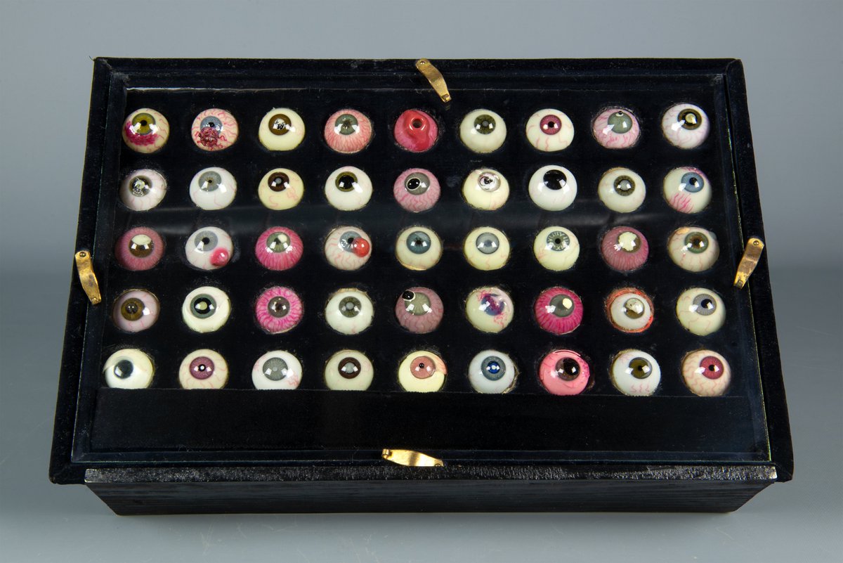 Maya Pixelskaya tweet media