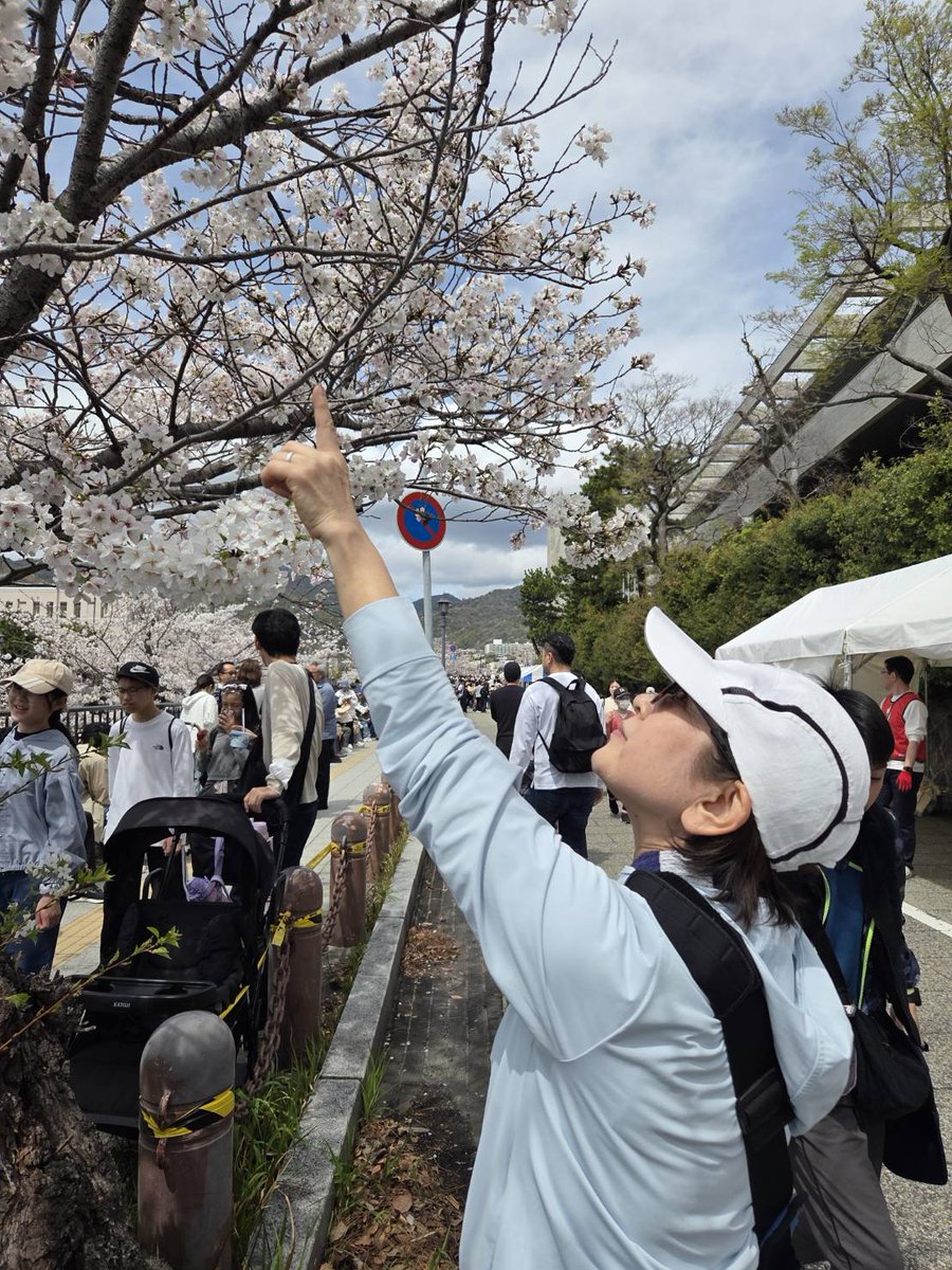 神戸のにゃん(にゃん改め) tweet media