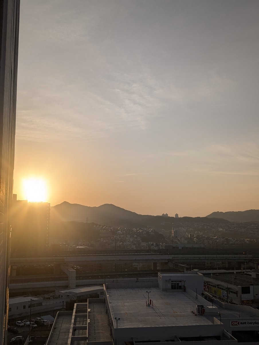 神戸のにゃん(にゃん改め) tweet media