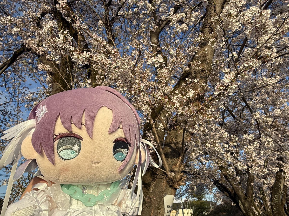 ももももももさん tweet media