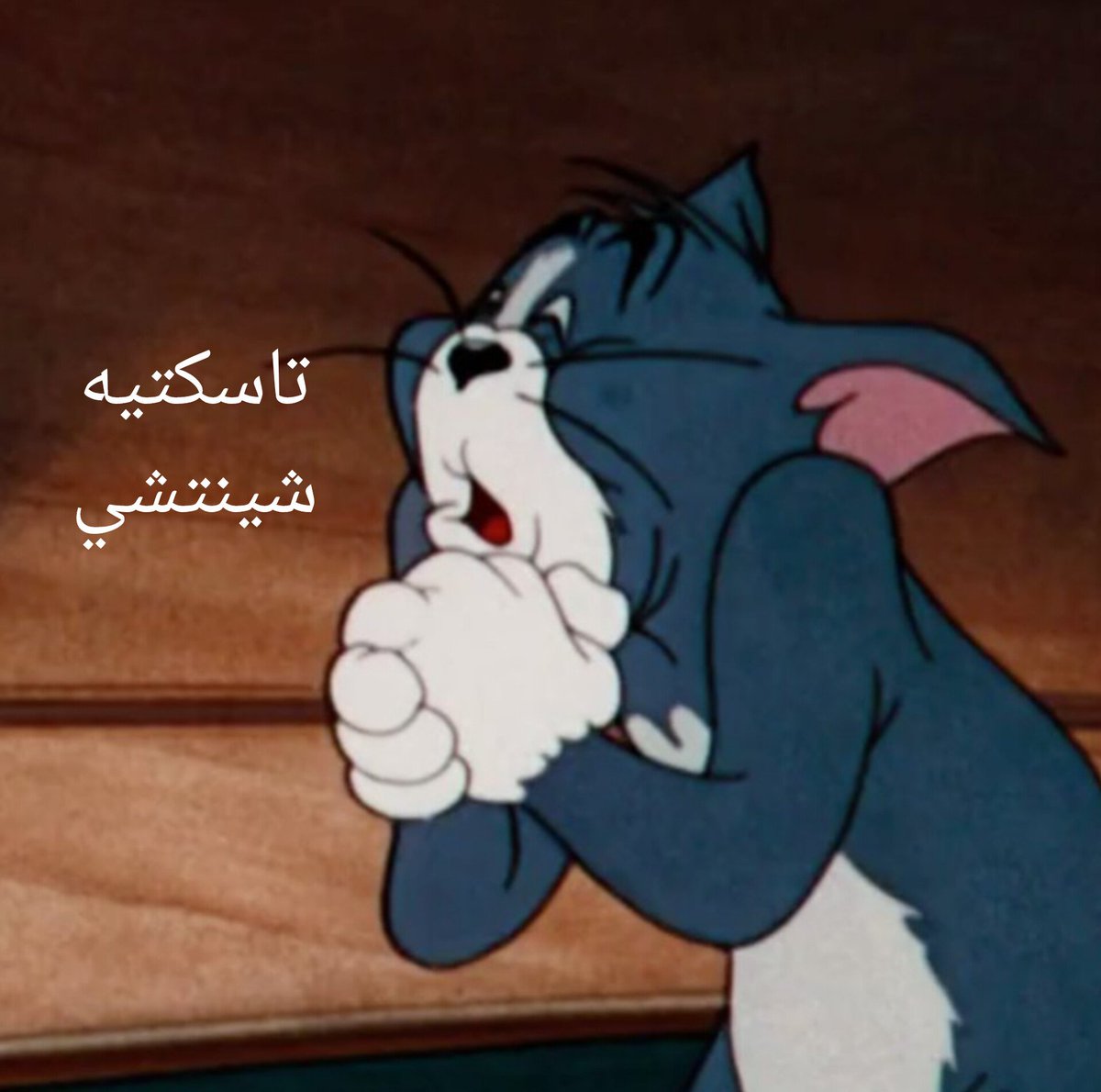 Silver detective 🇩🇿🖤🇵🇸 tweet media