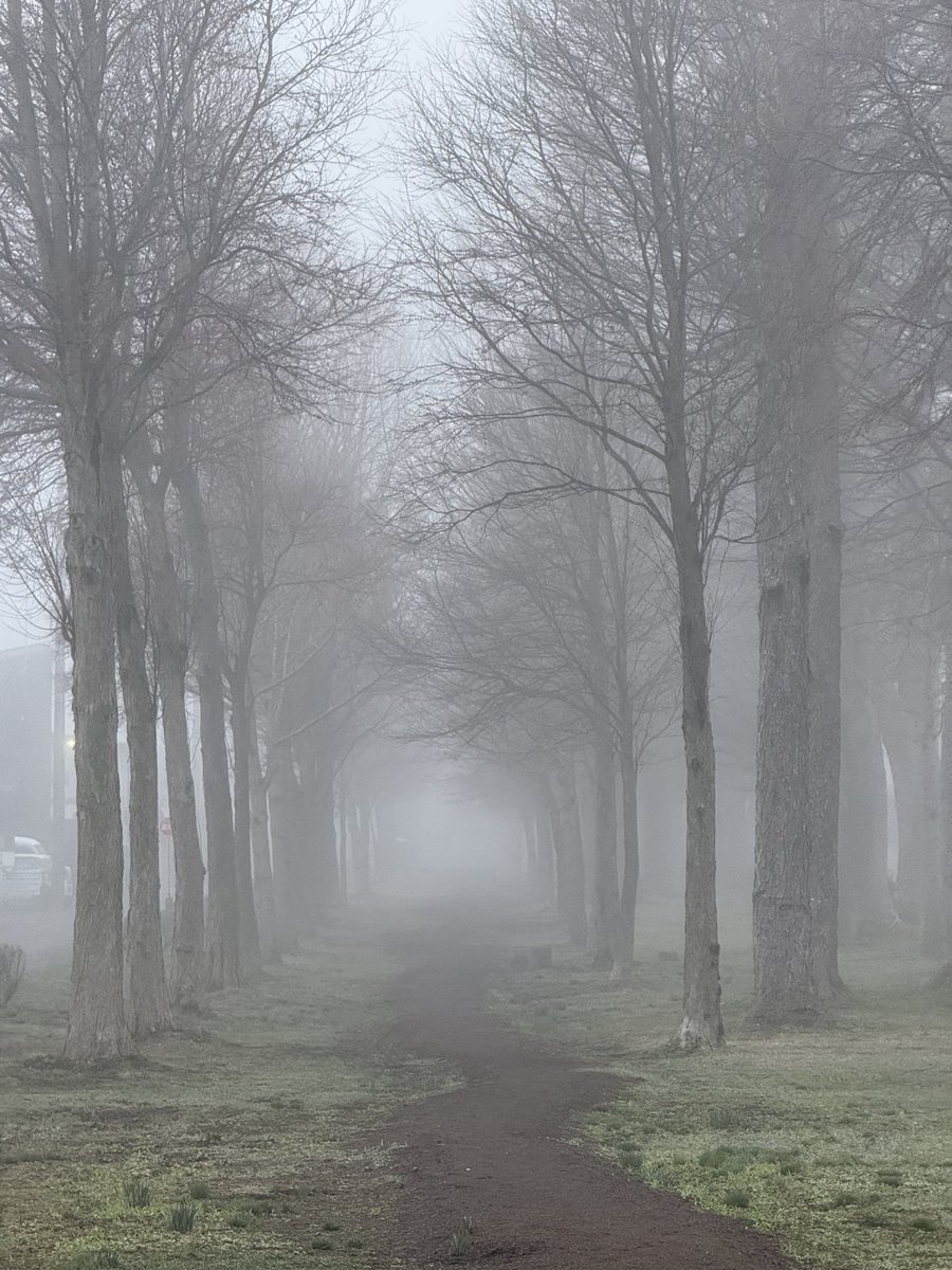 霧の中を散歩♪