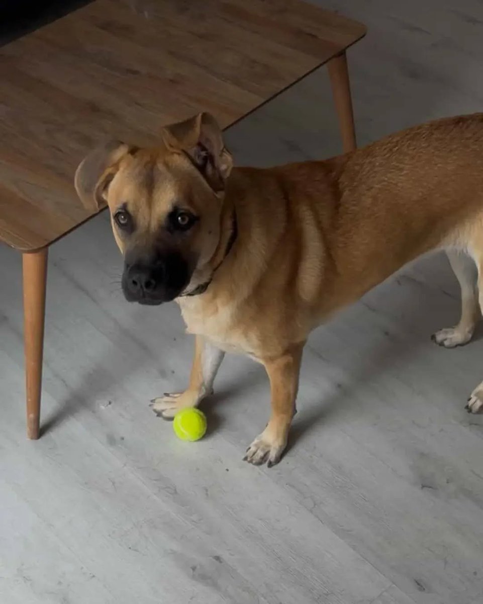 Zülal Kutluer tweet media