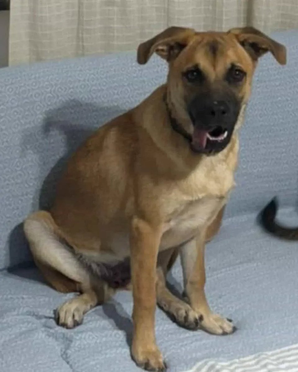 Zülal Kutluer tweet media