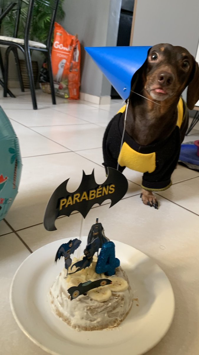 milazzo ᱬ tweet media