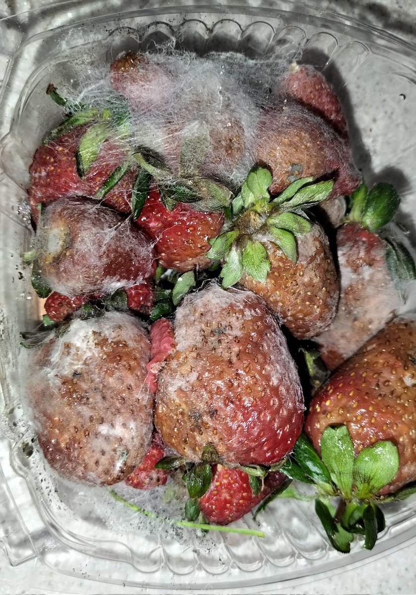 𝑩𝒍𝒂𝒌𝒚 tweet media