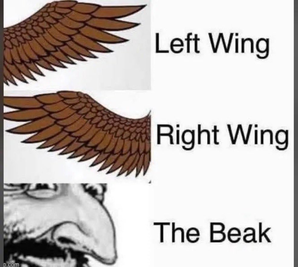 SSparrow217 tweet media