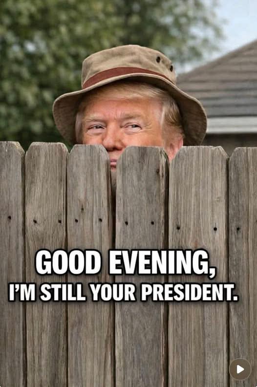 Corn Pop tweet media