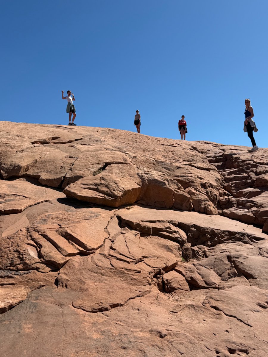 Lindsey Johnson tweet media