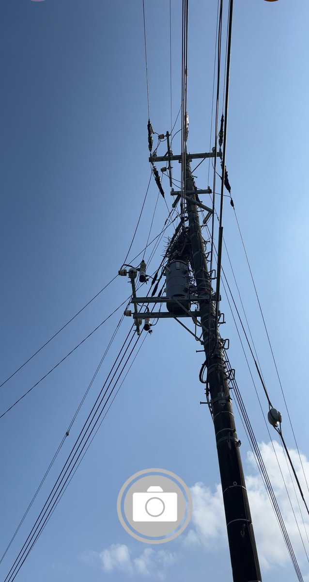 ねこたこ(necotaco) tweet media