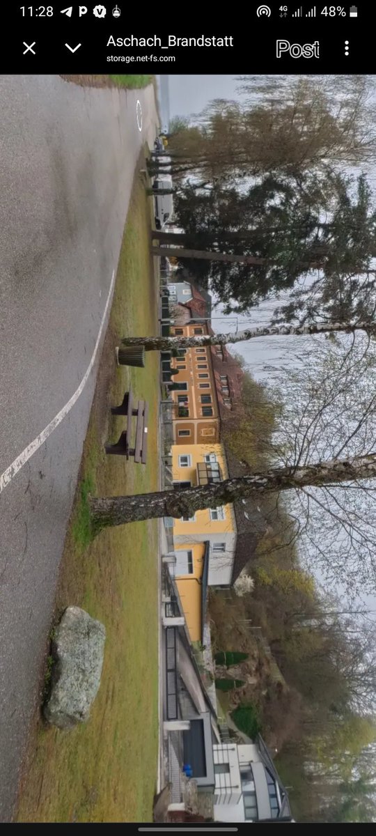 Atomic🐋 tweet media