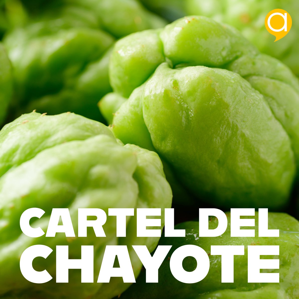 A Project tweet media