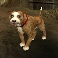 Dark Redshift tweet media