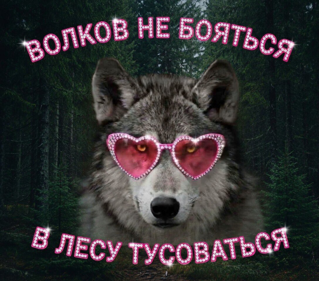 ONEXXIII's tweet photo. Моё тотемное животное https://t.co/nQr69evfDA